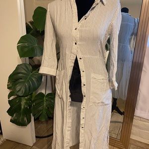 Zara basic collection pin stripe long sleeve button down dress